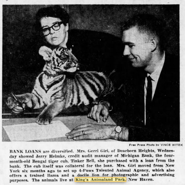 Kings Animaland Park - Dec 10 1964 Article On Loan